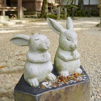 鏡物緣🐇生活靈性療癒