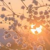 私は貴方と何処までも ¿ （ 女子六奏 緩緩緩緩緩緩也 ‼️‼️ ）