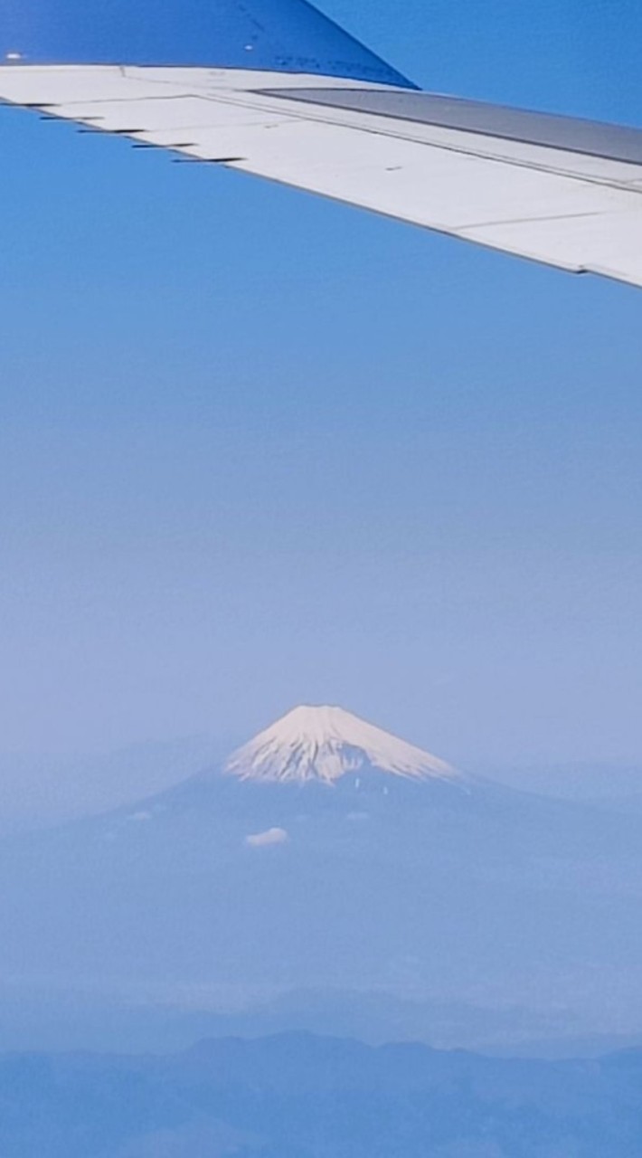 理性星宇