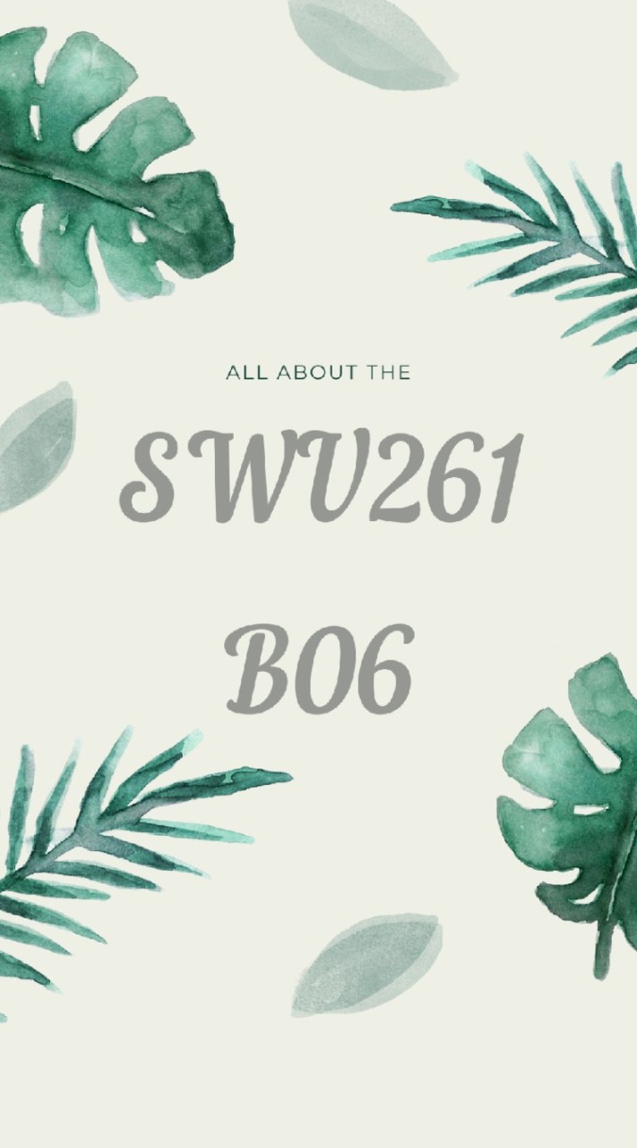 SWU261_B06 PE