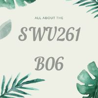 SWU261_B06 PE