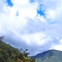 公費醫師制度討論社群