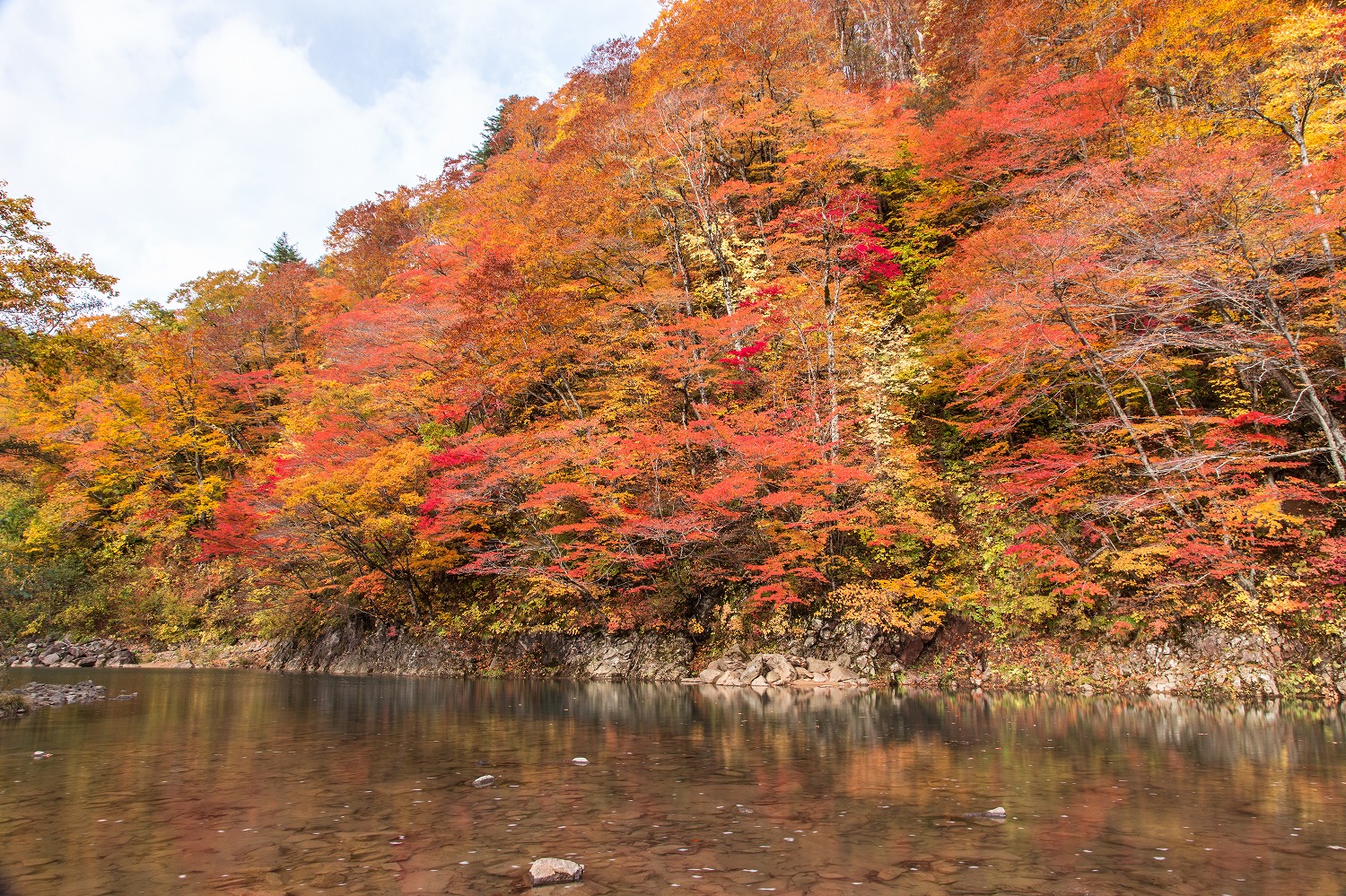 日本賞楓景點「葛根田溪谷」示意圖