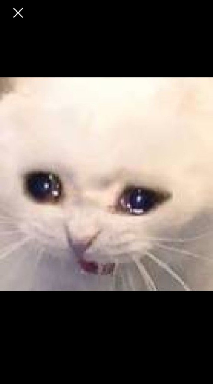 แจกรูปน่ารักเท่ๆและอื่นๆ
