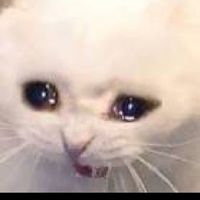 แจกรูปน่ารักเท่ๆและอื่นๆ