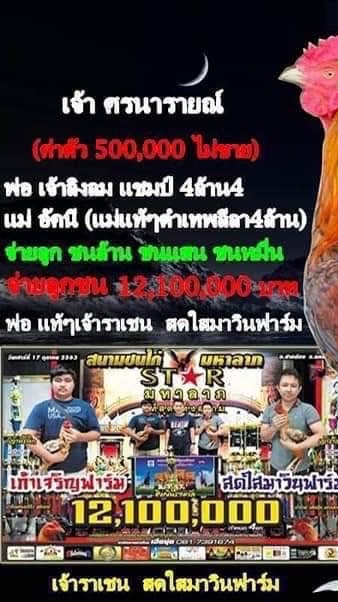 ซุ้มเดอะซัน ไก่ชน