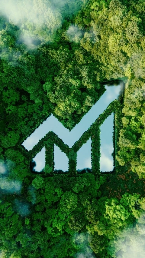私募台股全民賽A7區