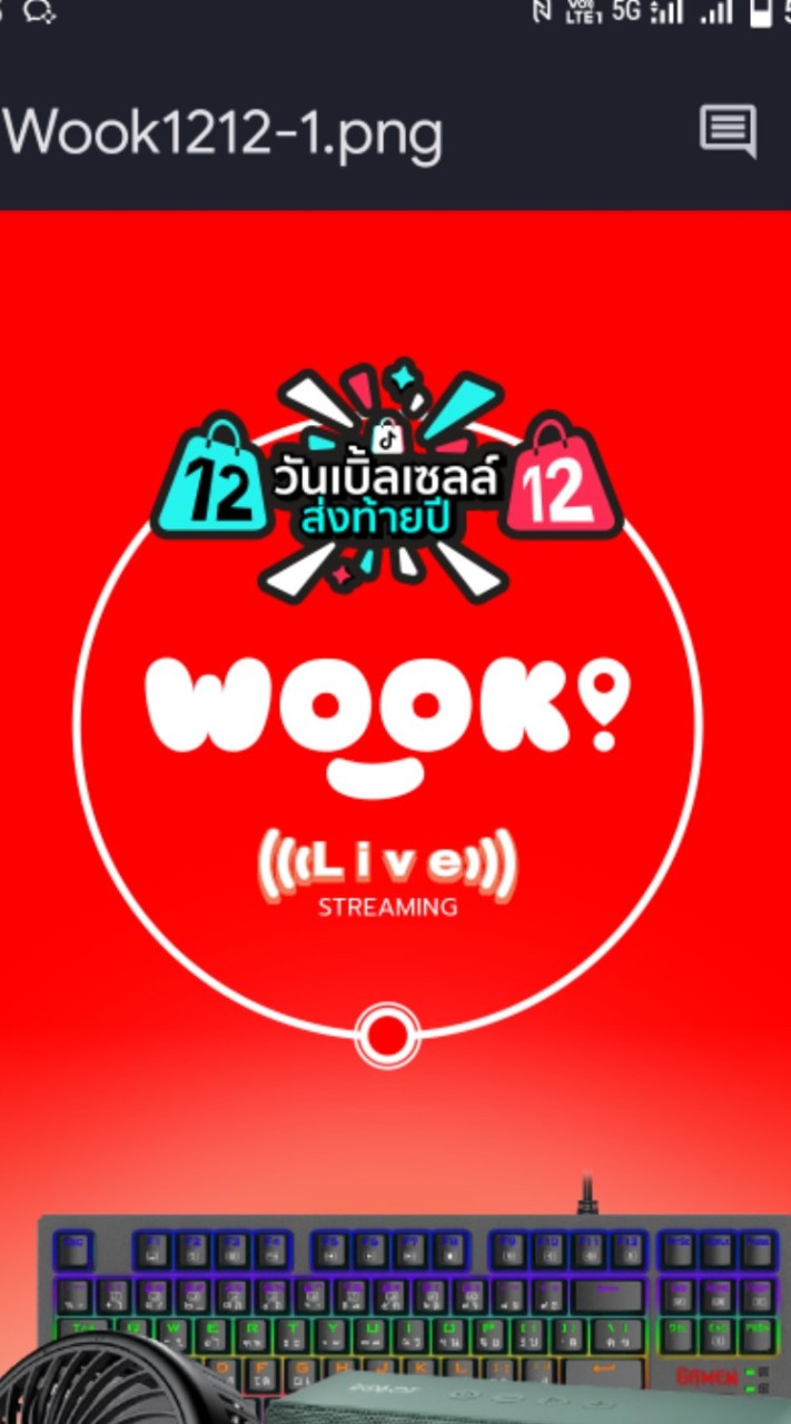 WOOK x Tiktok Creator
