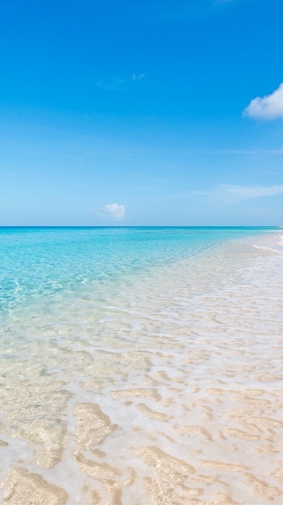 跟著阿曼達環遊世界