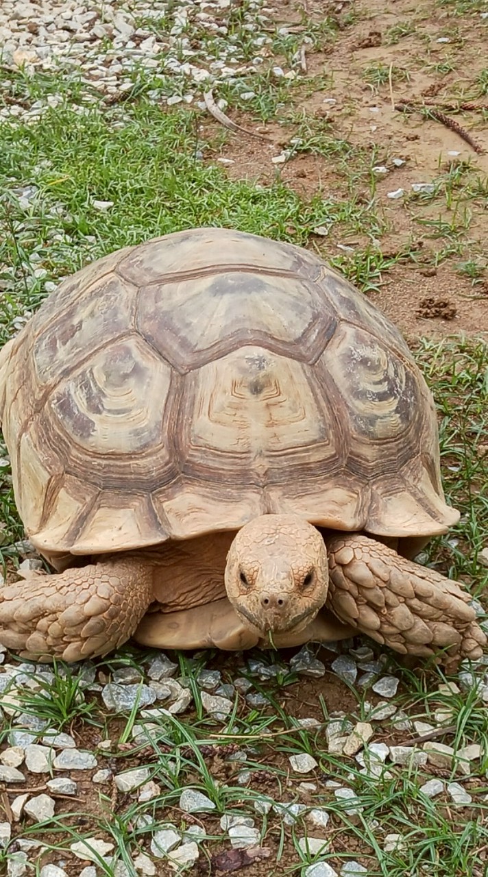 クリエイティ部！！