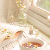 【無料】🌸心のサプリ🌸＆🎁無料プチ性格気質診断🎁