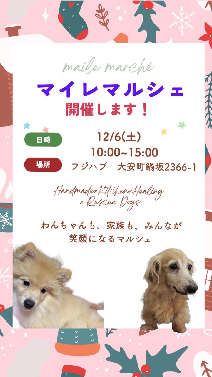 マイレマルシェ　12月6日出店者様