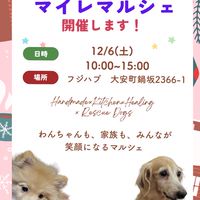 マイレマルシェ　12月6日出店者様