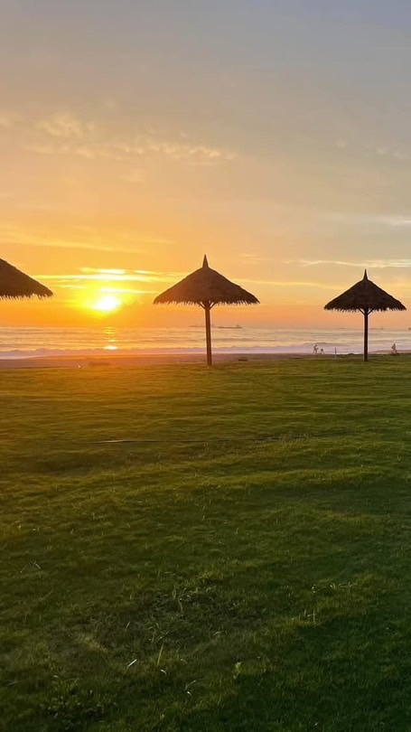 台南西濱螃蟹市集🦀️爆蛋.紅蟳，大沙公.大沙母。處女蟳，螃蟹