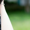 男子校に迷い込んだ猫