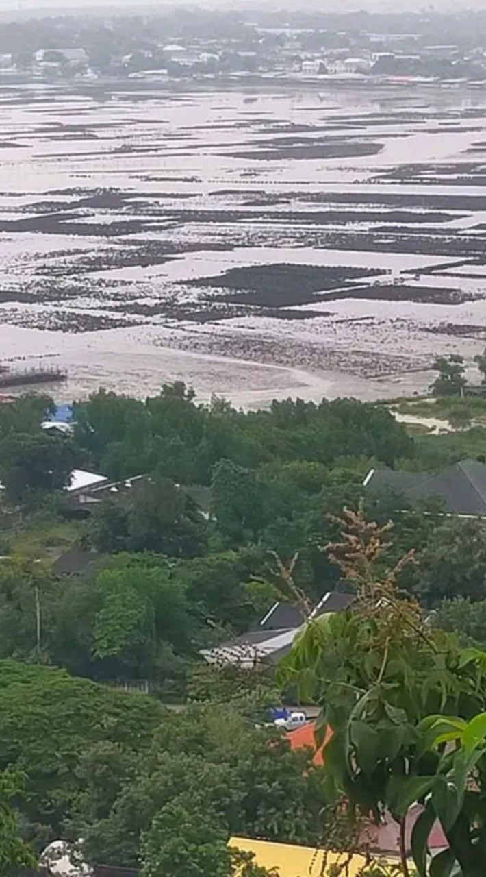 សាក់