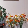 分花材小隊🌼 （雙北限定）