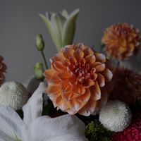 La More Flower Design x 拉莫爾花藝