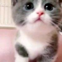 ひろゆきの昭和アイドル昭和歌謡昭和アニソンカラオケ部屋雑談もOK