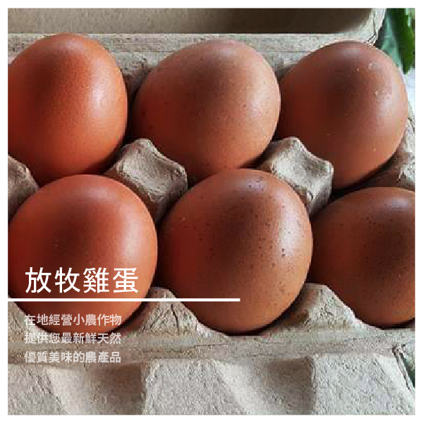 放牧雞蛋 12顆/盒 ​​★ 自家農地放牧飼養 ★ 孕育營養滿分的好蛋 ★ 提供餐桌滿滿美味 商品介紹 自家農地細心照料、放牧飼養 讓母雞有足夠空間活動及覓食 健康強壯的雞隻孕育出一顆顆天然好蛋 優質
