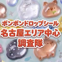ボンボンドロップシール名古屋中心エリア調査隊#シルパト