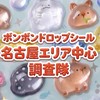 ボンボンドロップシール名古屋中心エリア調査隊#シルパト