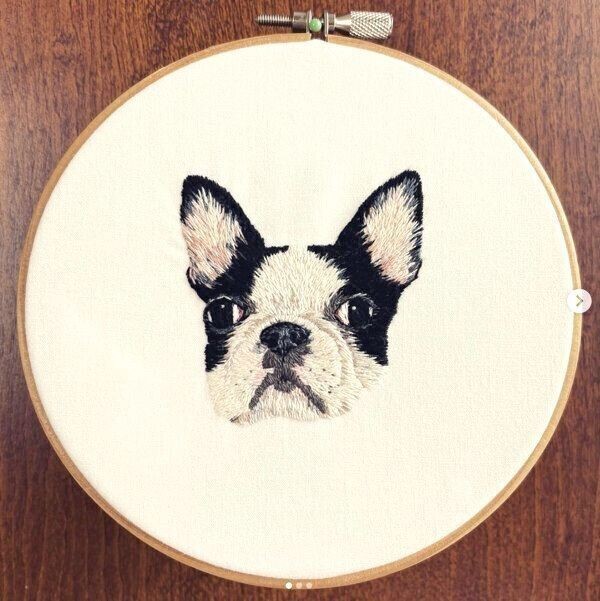 猫の ウールサッキング ってなに 恐ろしいトラブル事例