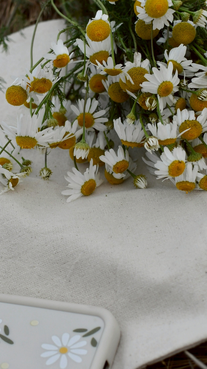 🌼Zeng UG的療癒副業入口大門🌼