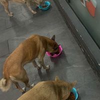 3 สหายหน้าอไลฟ์ 2🐶💖