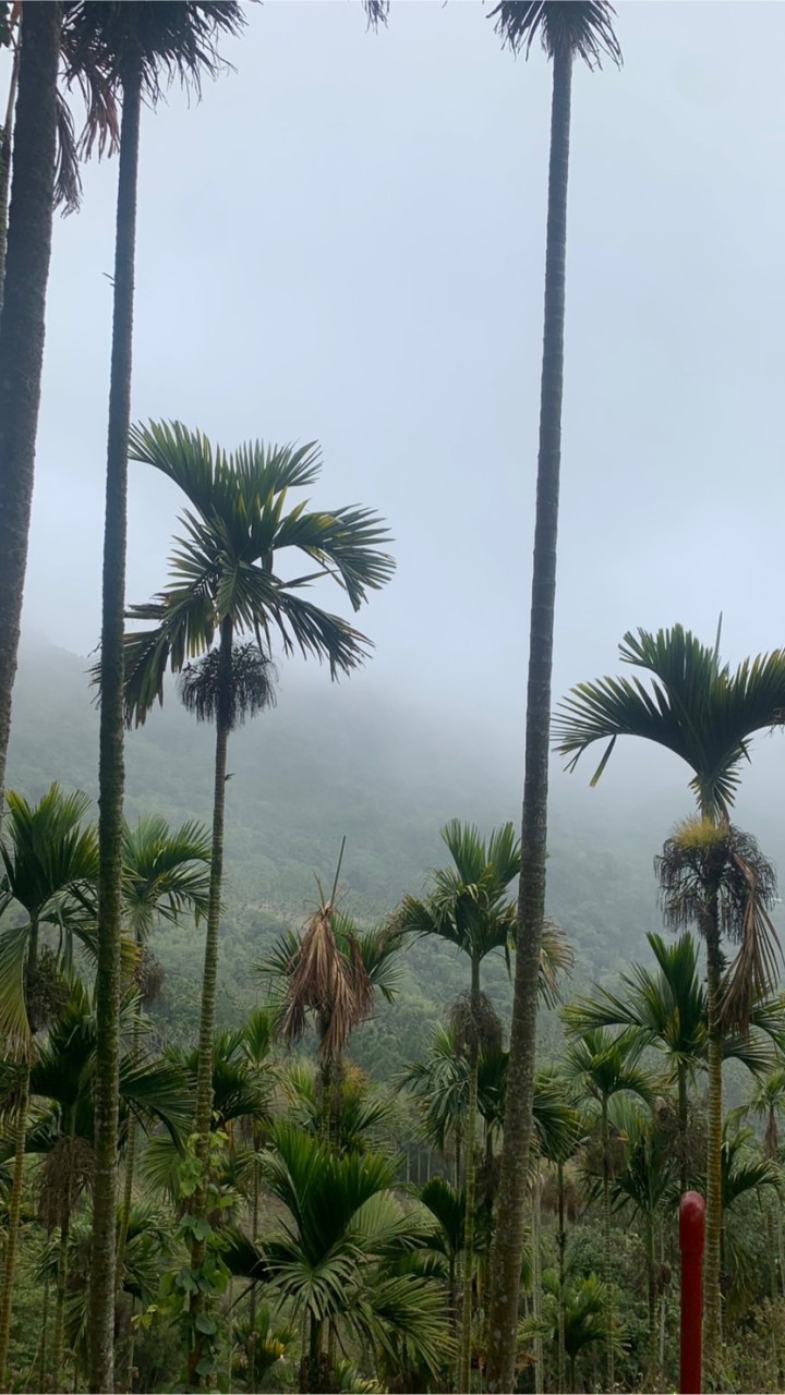 旅遊 淺水 露營 泡湯 冥想 正能量群