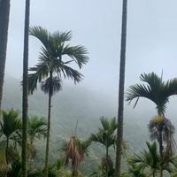 旅遊 淺水 露營 泡湯 冥想 正能量群