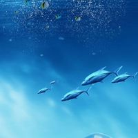 友逅i水族館