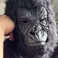 ゴリゴリファミリー