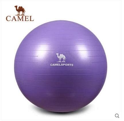 駱駝運動瑜伽球 健美瘦身平衡彈力防爆球大尺寸75cm(身高165-175cm)