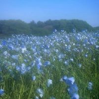 中学生高校生限定!!恋バナしよ！歌枠あり