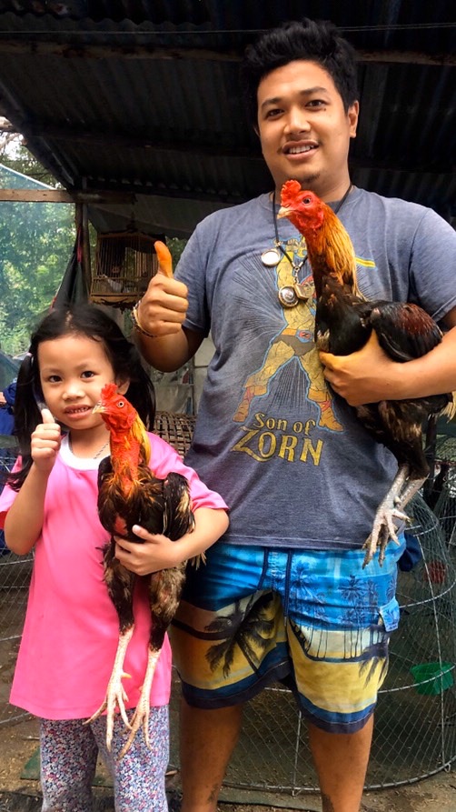 ไก่ชน ส.จรัสทิพย์ 0867000313 (เมฆ)