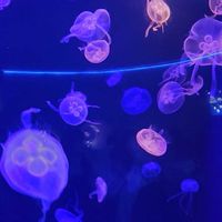 中高生のトーク