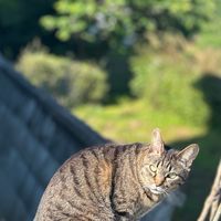 福山市が好きな方😊福山市を盛り上げていきましょう！