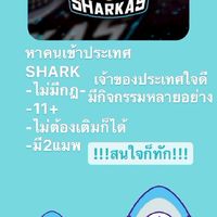 ประเทศSHARK💙🦈