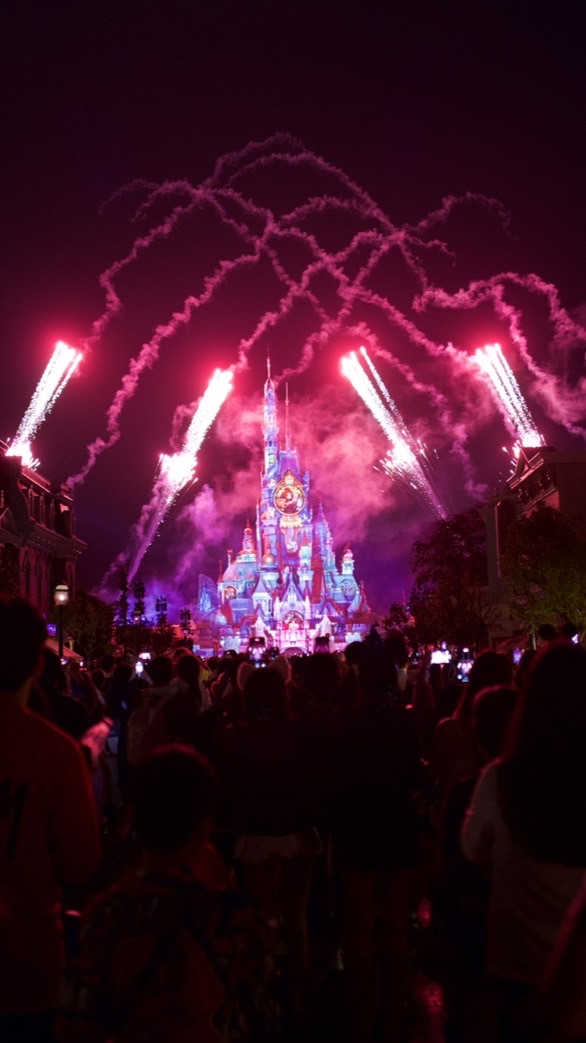 รับหิ้วของใน Disneyland Hongkong บินเอง หิ้วจริง ส่งจริง