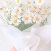 BB-精品彩妝代購、服飾小物零食