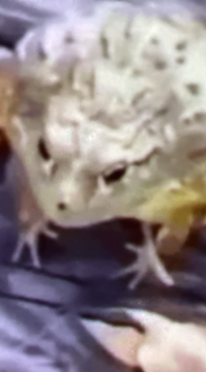 muhaha