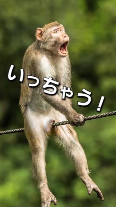 GOLDEN BALLに染まった奴ら