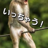 GOLDEN BALLに染まった奴ら