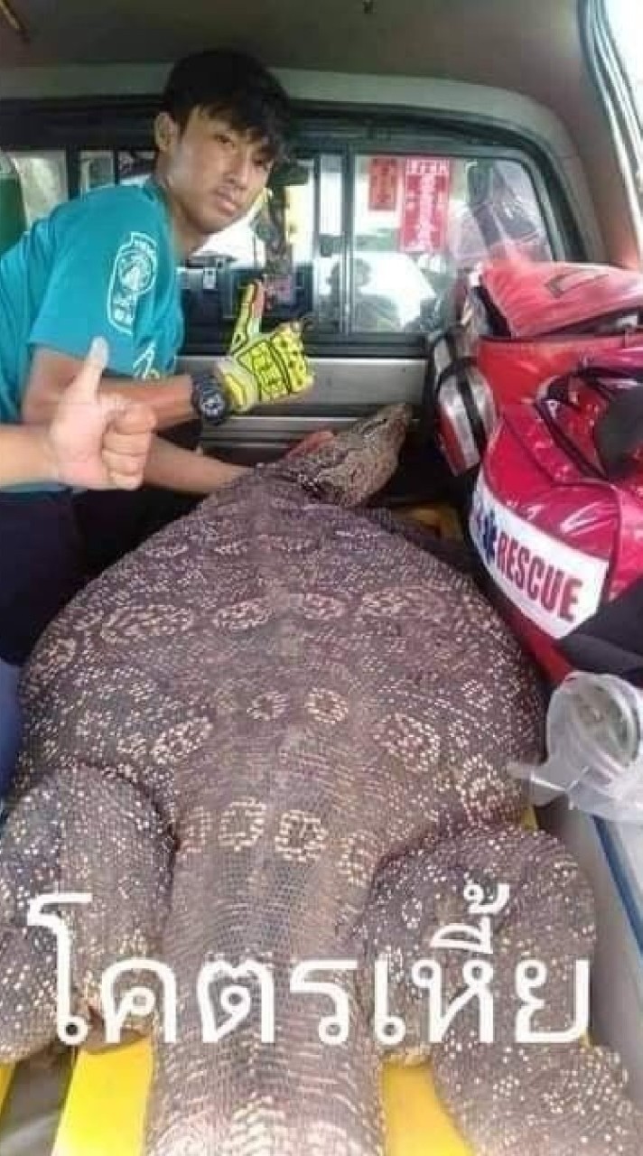 ทำรัยวัยรุ่น