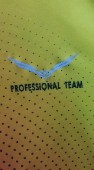 Professional Team ( Original )