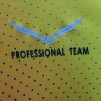 Professional Team ( Original )