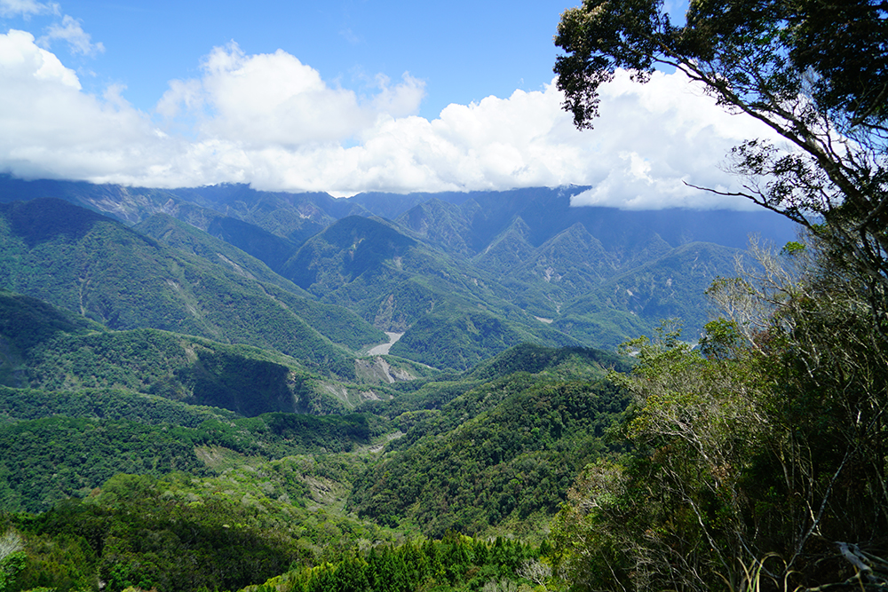 瞭望臺所在地為小百岳之一的東藤枝山，設有三等三角點標柱，從前為林火通報功能，展望視野極佳，冬季時常可見雲海。(攝影/Cindy Lee)