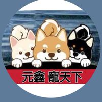 591元鑫寵天下 犬舍