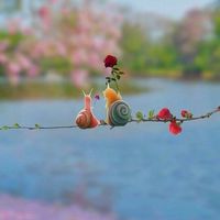🌼*･福井県、心にも日曜日を🌼*･🤣少人数で、ゆっくり、楽しくおしゃべり、しましょう🍒